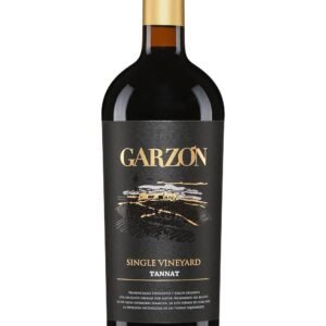 Garzon Single Vineyard Tannat